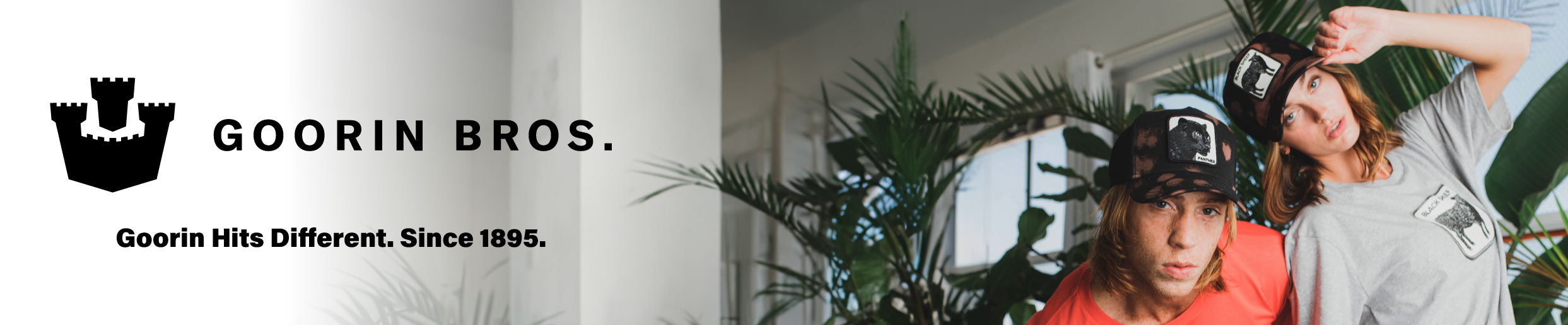banner-image