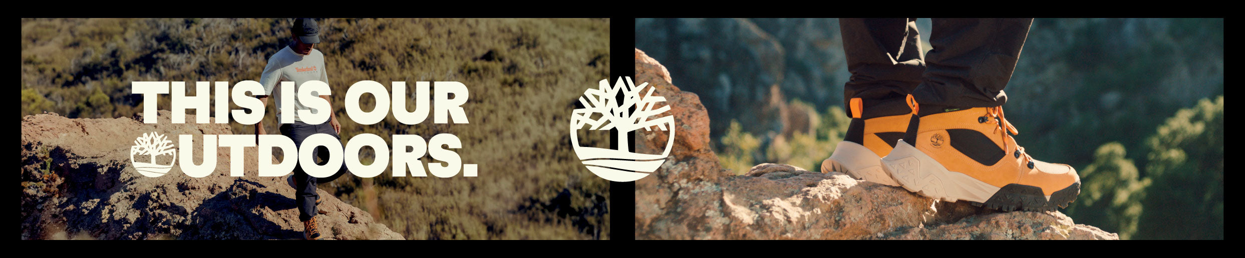banner-image