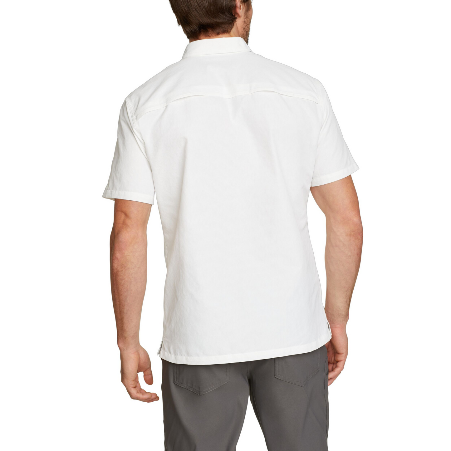EDDIE BAUER RIPSTOP GUIDE CAMISA MANGA CORTA MEN