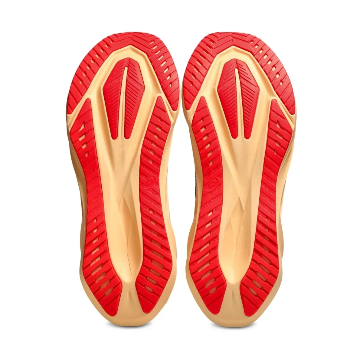 ASICS NOVABLAST 5 ZAPATILLA RUNNING MEN