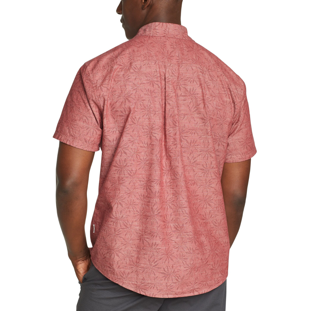 EDDIE BAUER CAMANO CAMISA MANGA CORTA MEN