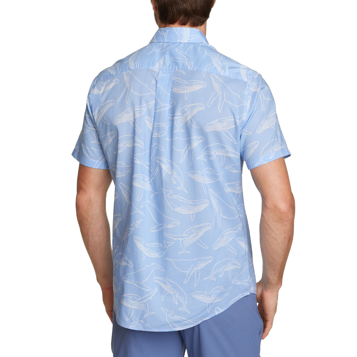 EDDIE BAUER KINGSTON CAMISA MANGA CORTA MEN