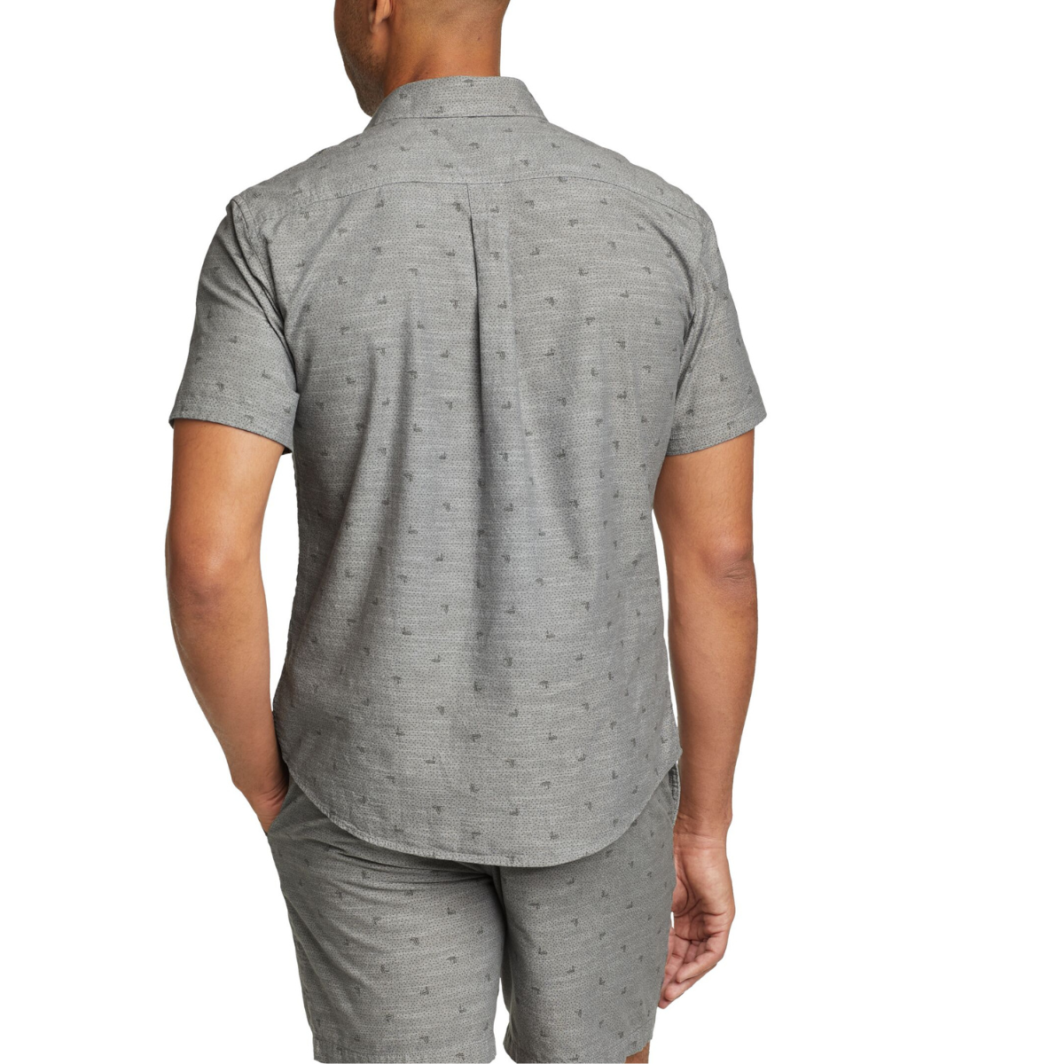 EDDIE BAUER CAMANO CAMISA MANGA CORTA MEN