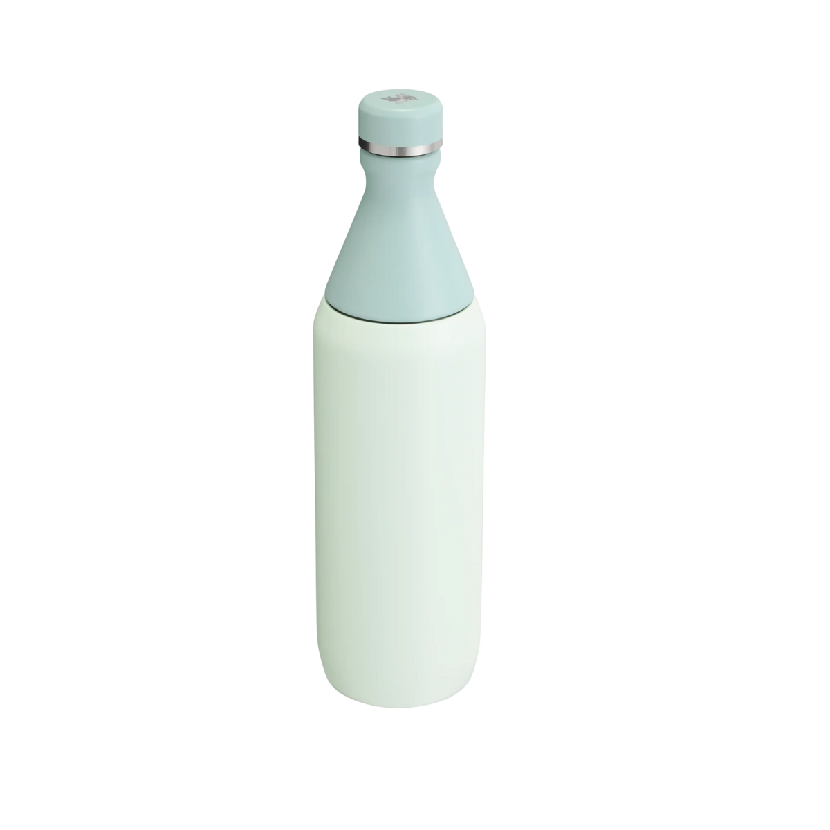 STANLEY ALL DAY SLIM BOTTLE 20 OZ