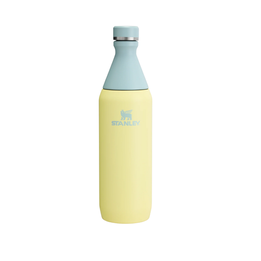 STANLEY ALL DAY SLIM BOTTLE 20 OZ