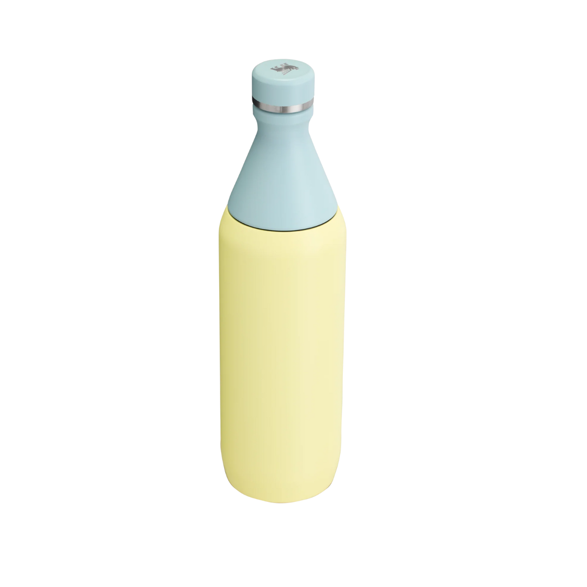 STANLEY ALL DAY SLIM BOTTLE 20 OZ