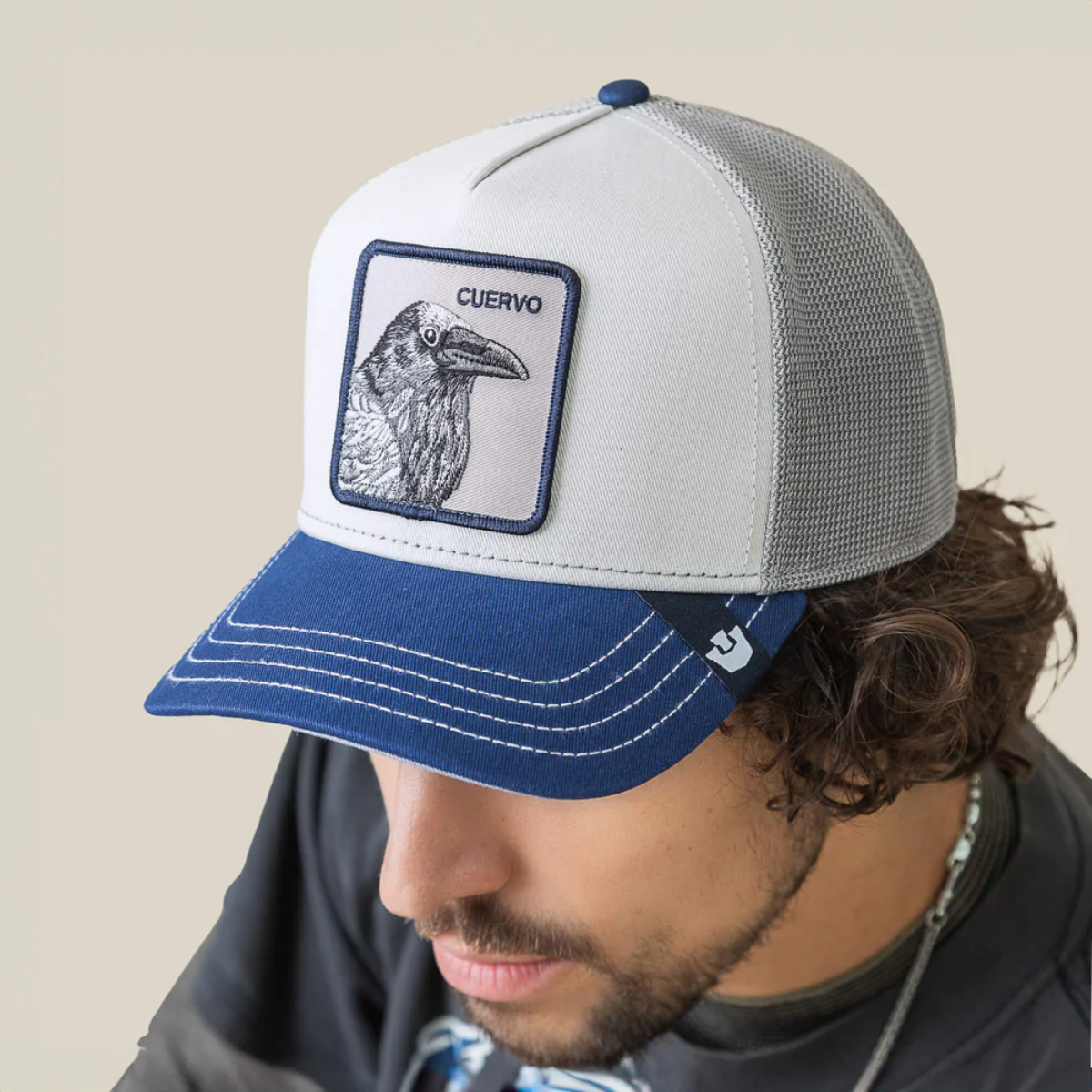 GOORIN BROS TRICOLOR RAVEN GORRA