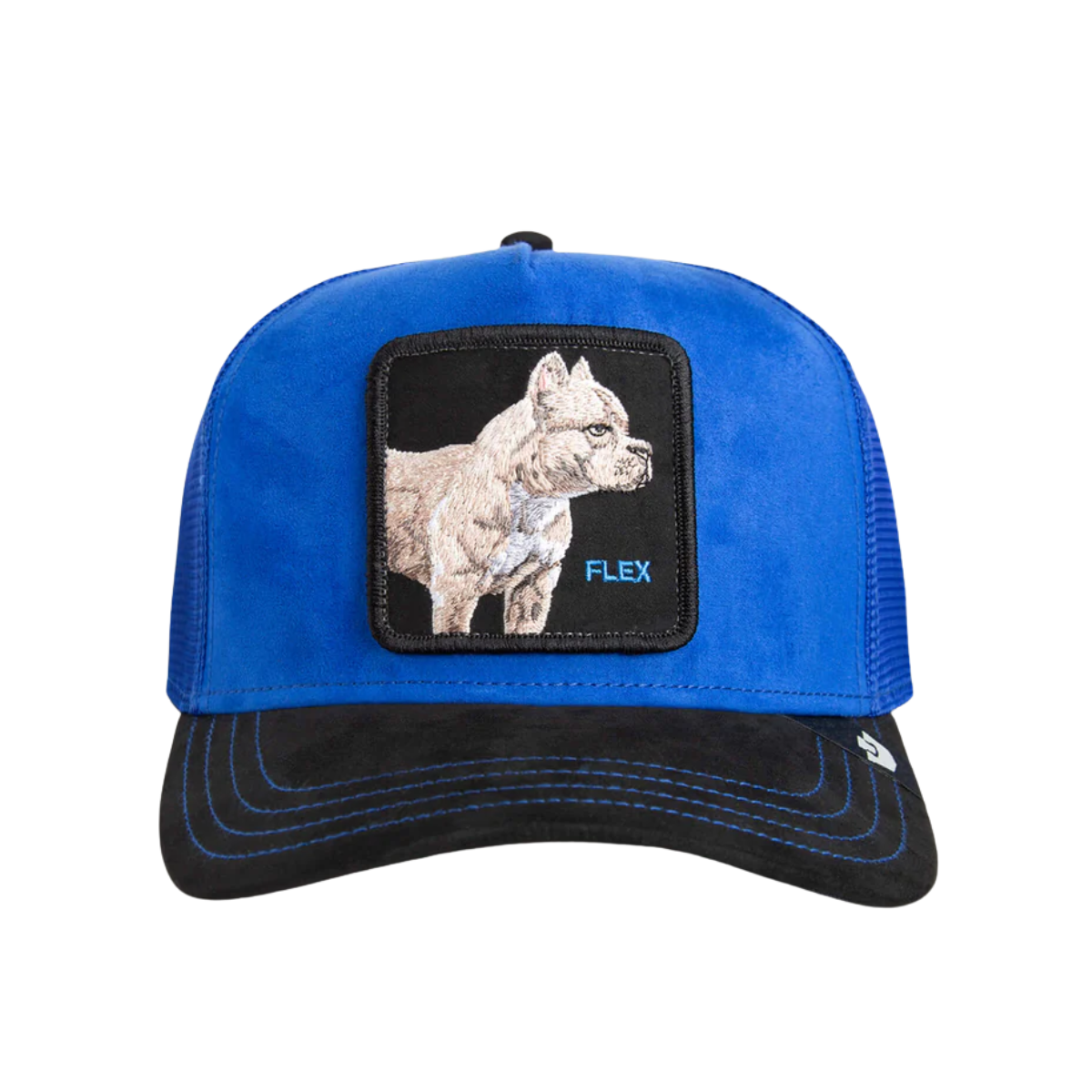 GOORIN BROS SUEDE PITBULL GORRA
