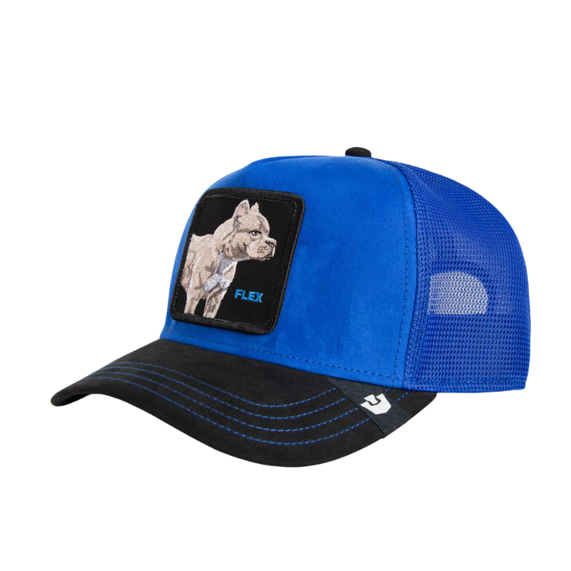 GOORIN BROS SUEDE PITBULL GORRA