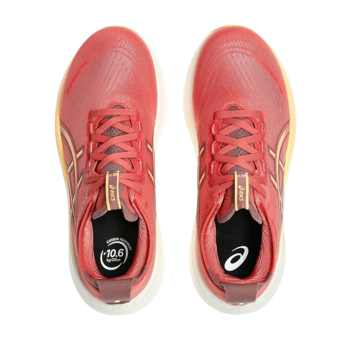 ASICS GEL NIMBUS 27 ZAPATILLA RUNNING WOMEN