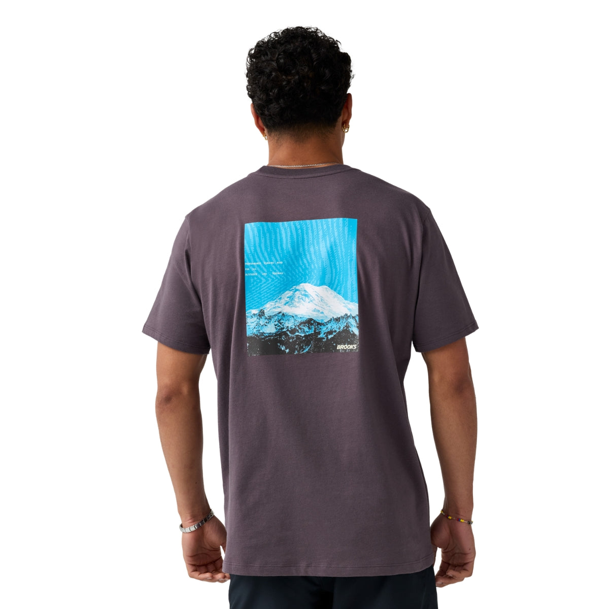BROOKS GRAPHIC SLEEVE SUETER MEN