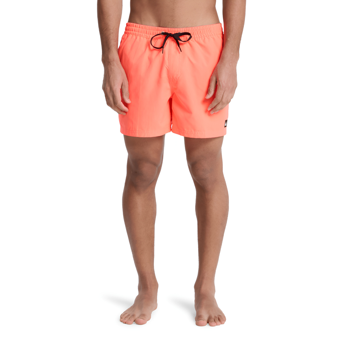 QUIKSILVER EVERYDAY VOLLEY 1 PANTALON CORTO MEN