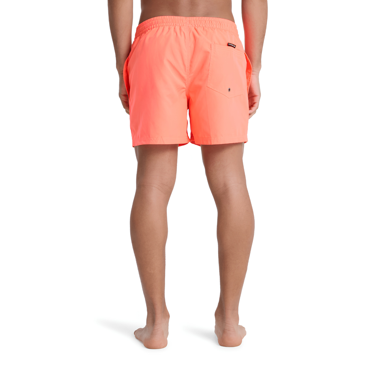 QUIKSILVER EVERYDAY VOLLEY 1 PANTALON CORTO MEN